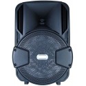 CASSA ACUSTICA 8 POLLICI PORTATILE BLUETOOTH/SD/USB/RADIO